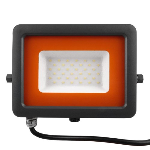 Прожектор светодиодный PFL-S2 30Вт 6500К IP65 220–240В ДО с клапаном закален. матов. стекло сер. Pro