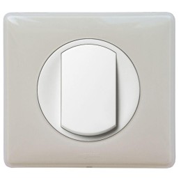 Рамка 1-м Celiane сл. кость Leg 068691