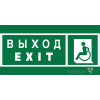Знак безопасности BL-3015A.E64 "Указ. выхода для инвал. в креслах колясках (лев.)" Белый свет a19608