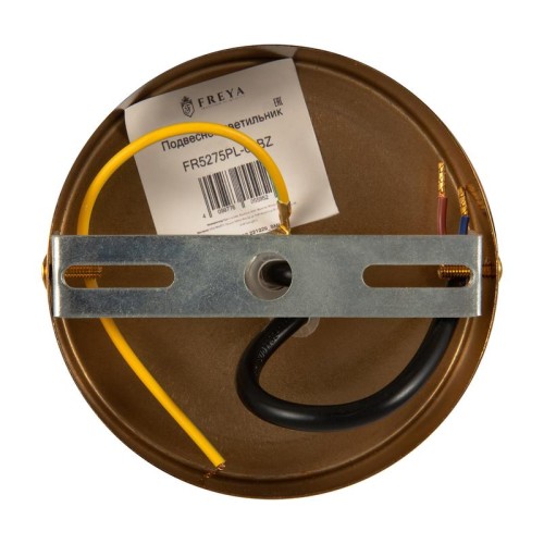 Светильник Gauzy 60Вт E27х1 IP20 подвесной Freya FR5275PL-01BZ