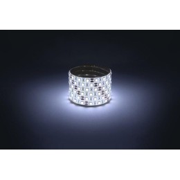 Лента светодиодная LS5050-14.4-60-12-6500K-IP65-2year-5m KU-5050AD-60D-W (уп.5м) ЭРА Б0044119