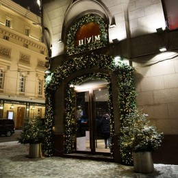 Гирлянда "Еловый шлейф с шишками" 2.7м d36см IP44 300 веток с шишками объем 36см Neon-Night 307-221