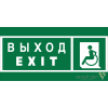 Знак безопасности BL-3015B.E64 "Указ. выхода для инвал. в креслах колясках (лев.)" Белый свет a19660