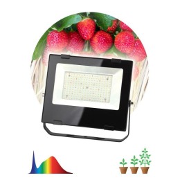 Прожектор светодиодный для растений FITO-100W-Ra90-LED 100Вт для цветения и плодоношения ЭРА Б004787