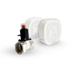 Система автоматизированного контроля загазованности Р CO-CH клапан соленоидный газовый Ду15 источник