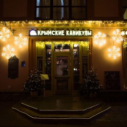 Фигура светодиодная "Снежинка большая" 55х55см 180LED тепл. бел. 22Вт 220-240В IP65 дюралайт Neon-Ni