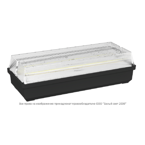 Светильник аварийный BS-UNIVERSAL-10-L5-LED 4000К Black Белый свет a32042