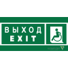Знак безопасности NPU-6030.E64 "Указ. выхода для инвал. в креслах колясках (лев.)" Белый свет a20546