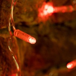 Гирлянда светодиодная "Светодиодный Дождь" 2х0.8м 160LED красн. 10Вт 230В IP65 провод прозр. Neon-Ni