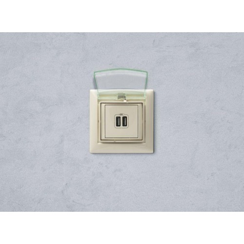 Розетка USB 2-м СП Valena сл. кость Leg 774170