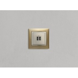 Розетка USB 2-м СП Valena сл. кость Leg 774170