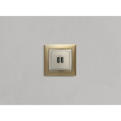 Розетка USB 2-м СП Valena сл. кость Leg 774170
