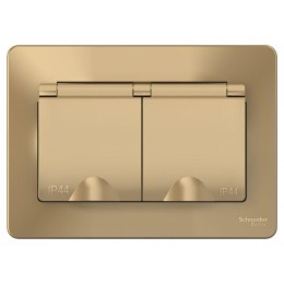 Розетка 2-м СП Blanca 16А IP44 250В с заземл. защ. шторки с крышкой титан SE BLNRS441124