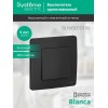 Выключатель 1-кл. СП Blanca 10А IP20 (сх. 1) 250В антрацит SE BLNVS010106