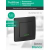 Выключатель 1-кл. СП Blanca 10А IP20 (сх. 1) 250В с подсветкой антрацит SE BLNVS010116