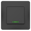 Выключатель 1-кл. СП Blanca 10А IP20 (сх. 1) 250В с подсветкой антрацит SE BLNVS010116