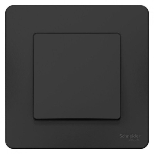 Переключатель проходной 1-кл. СП Blanca 10А IP20 (сх. 6) 250В антрацит SE BLNVS010606