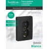 Розетка 2-м СП Blanca 16А IP20 250В с заземл. защ. шторки антрацит SE BLNRS001126