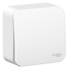 Выключатель 1-кл. ОП Blanca 6А IP20 (сх. 1) 250В с металлич. пластиной бел. SE BLNVA061021