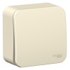 Выключатель 1-кл. ОП Blanca 10А IP20 (сх. 1) 250В молочн. SE BLNVA101002