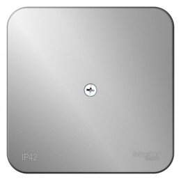 Коробка распределительная ОП Blanca IP42 алюм. SE BLNRK000013