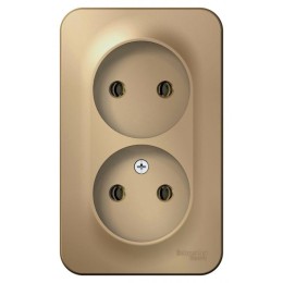 Розетка 2-м ОП Blanca 16А IP20 250В без заземл. без защ. шторок титан SE BLNRA000204