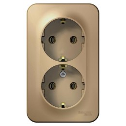 Розетка 2-м ОП Blanca 16А IP20 250В с заземл. без защ. шторок титан SE BLNRA010204