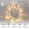 Гирлянда светодиодная "Нить" 10м 100LED тепл. бел. 12Вт 24В IP65 постоян. свечение провод ПВХ бел. N