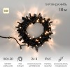 Гирлянда светодиодная "Нить" 10м 100LED тепл. бел. 12Вт 24В IP65 эффект мерцания провод ПВХ черн. Ne