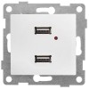 Розетка USB 2-м СП Bravo механизм бел. матов. GUSI С10USB2-041