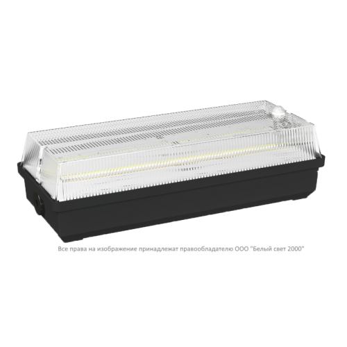Светильник аварийный BS-UNIVERSAL-51-L1-INEXI2 3000К DD01 Black Белый свет a32276