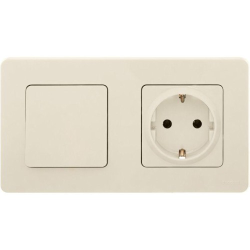 Выключатель 1-кл. Inspiria 10А IP20 250В 10AX механизм сл. кость Leg 673601