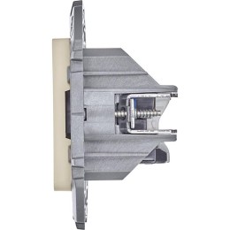 Розетка компьютерная 2-м Inspiria RJ45 кат.6 UTP механизм сл. кость Leg 673841