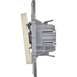 Выключатель кнопочный Inspiria 6А 250В без фиксации НО/НЗ механизм сл. кость Leg 673691