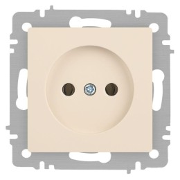 Розетка 1-м СП Accent 6-201-02 16А IP20 250В 2P сл. кость Intro Б0063659