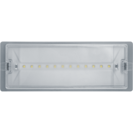 Светильник светодиодный 95 290 NEF-19 6Вт IP65 100лм 220-240В аккум. LiFePO4 600mAh аварийно-эвакуац