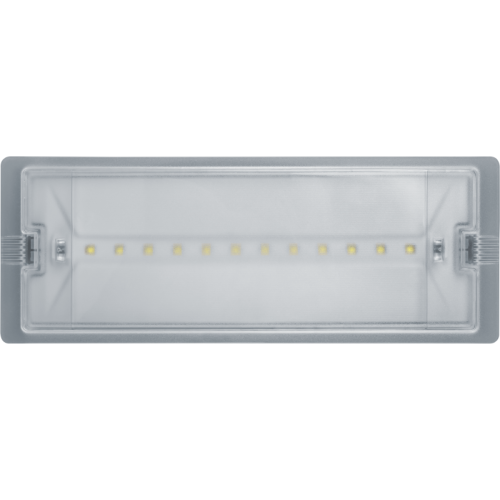 Светильник светодиодный 95 290 NEF-19 6Вт IP65 100лм 220-240В аккум. LiFePO4 600mAh аварийно-эвакуац
