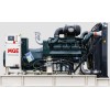 Генератор дизельный p500DN MGE