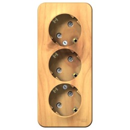 Розетка 3-м ОП Blanca 16А IP20 250В с заземл. защ. шторки с изолир. пластиной ясень SE BLNRA011315