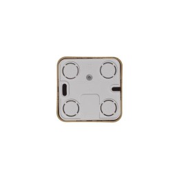 Розетка телевизионная TV ОП Blanca коннектор с изолир. пластиной ясень SE BLNTA000015