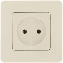 Розетка 1-м СП Inspiria 16А IP20 250В 2P механизм сл. кость Leg 673711