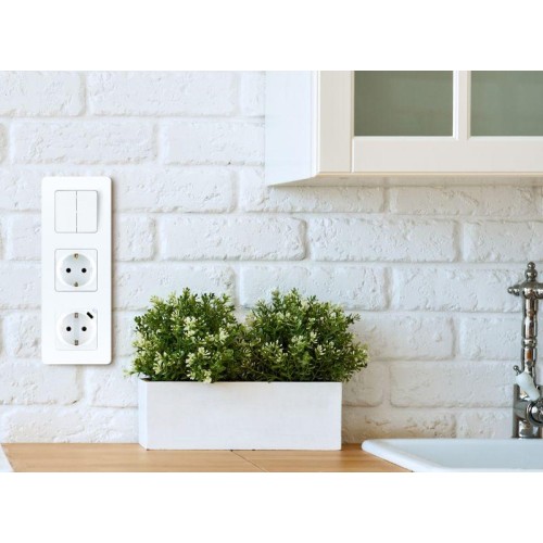 Розетка 1-м СП Inspiria 16А IP20 250В 2P+E немецк. стандарт с заряд. устройством USB тип C 1.5А 5В м