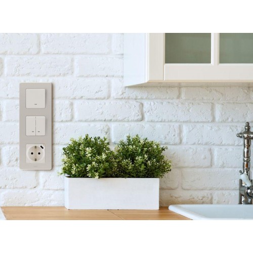 Розетка 1-м СП Inspiria 16А IP20 250В 2P+E немецк. стандарт с заряд. устройством USB тип C 1.5А 5В м