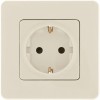Розетка 1-м СП Inspiria 16А IP20 250В 2P+E защ. шторки немецк. стандарт механизм сл. кость Leg 67373