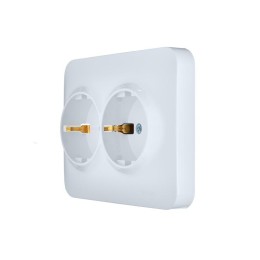 Розетка 2-м СП ASTI 16А IP20 без заземл. термопласт бел. LEZARD 7081-0200-128B