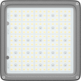 Светильник светодиодный INSEL LB/S LED 120 D65 Ex 5000К встраив. СТ 1334000580