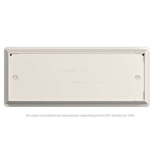 Светильник аварийный BS-UNIVERSAL-10-L4-LED 5000К Белый Свет a30194