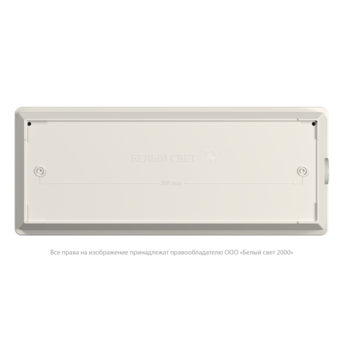 Светильник аварийный BS-UNIVERSAL-10-L5-LED 4000К DD01 Белый Свет a30278