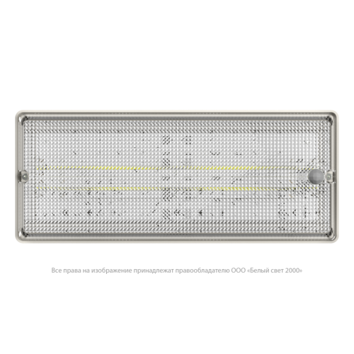 Светильник аварийный BS-UNIVERSAL-51-L1-INEXI2 3000К DD01 Белый Свет a30012