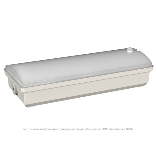 Светильник аварийный BS-METEORIT-10-L5-LED 4000К DD01 Белый Свет a30284